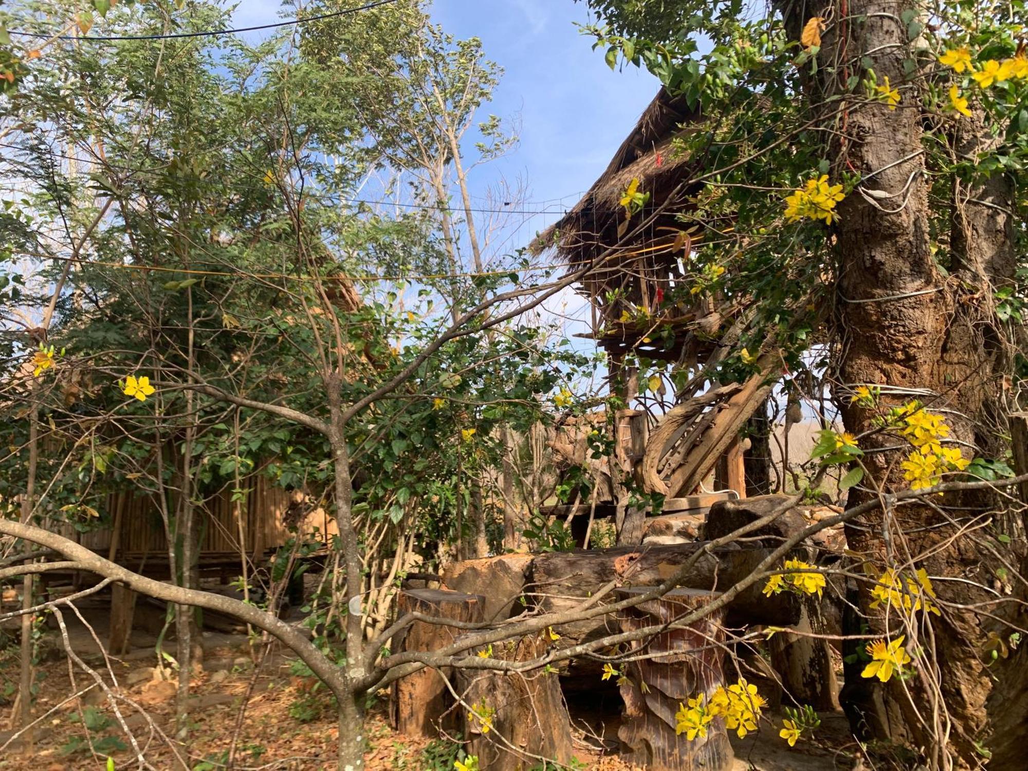 Khu Du Lich Sinh Thai, Nghi Duong Homestay Hoang Anh - Kon Xom Luh Κον Τουμ Εξωτερικό φωτογραφία
